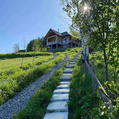 Panorama View